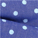 Pajarita Oxford Lunares Azul