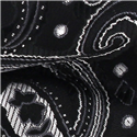 Pajarita Paisley Negra y Plata