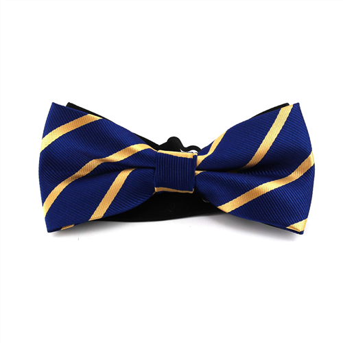 Marineblaue Fliege mit goldenen Streifen