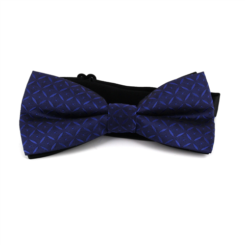 Karo Blaue Fliege