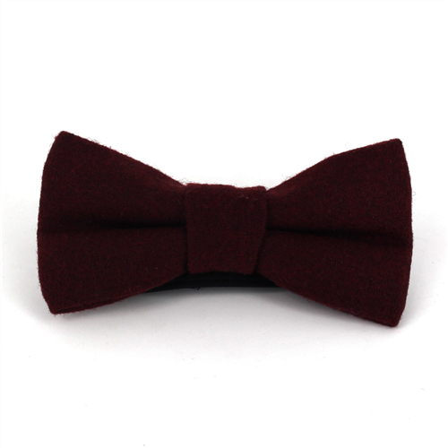 Uni Bordeaux Wollfliege