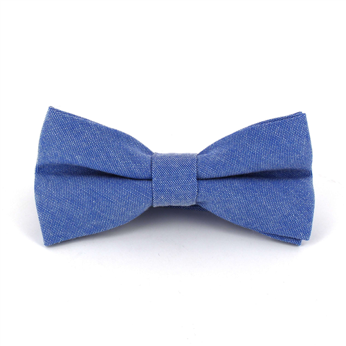 Einfarbige Oxford-Blau Fliege