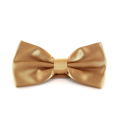 Uni Satin Champagner Fliege