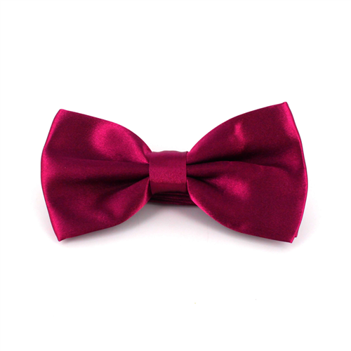 Einfarbige Satin Fliege in Fuchsia