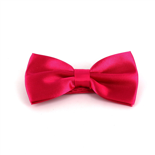 Einfarbige Satin Fliege in Magenta