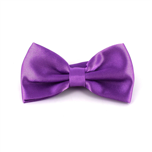 Einfarbige Satin Fliege Violett