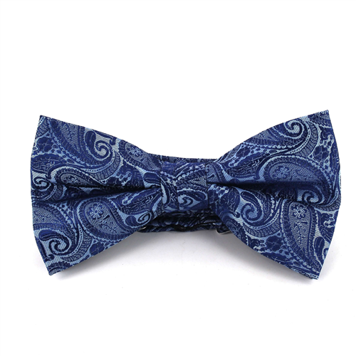 Himmelblaue und blaue Paisley Fliege