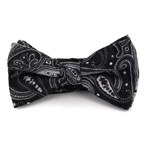 Schwarzes Paisley Fliege in Silber