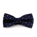 Blauer Fliege mit goldenen Punkten