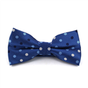 Blauer gepunkteter Multicolor-Fliege