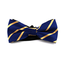 Marineblaue Fliege mit goldenen Streifen