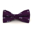 Violette Fahrradfliege