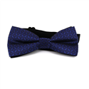 Karo Blaue Fliege