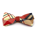 Karo Fliege in Rot und Beige