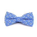 Blumenblaue Fliege