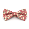 Fliege Blumen Rosa