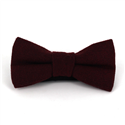 Uni Bordeaux Wollfliege