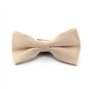Uni Velours Fliege Beige