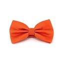 Orange karierte Fliege