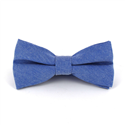 Einfarbige Oxford-Blau Fliege