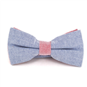 Einfarbige Oxford-Fliege in Blau und Rot
