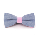 Einfarbige Oxford-Fliege in Blau und Rosa