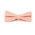 Einfarbige Oxford-Rosa Fliege