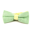 Grüne und gelbe Oxford Plain Fliege