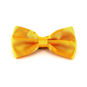 Uni Satin Gelbe Fliege