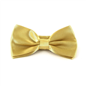 Glattes Satin-Gelbes Gold Fliege