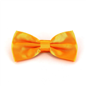 Uni Satin Fliege Bernstein