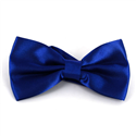 Einfarbige Satin Fliege in Blau