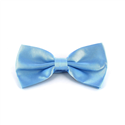 Uni Satin Himmelblau Fliege