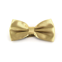 Uni Satin Fliege Beige