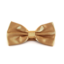 Uni Satin Champagner Fliege
