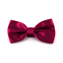 Einfarbige Satin Fliege in Fuchsia