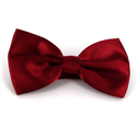 Uni Satin Fliege Burgund