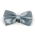 Einheitsfarbene Satin Fliege in Grau Silber