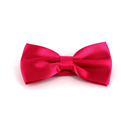 Einfarbige Satin Fliege in Magenta