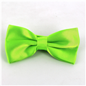 Grüne Satin Fliege