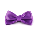 Einfarbige Satin Fliege Violett