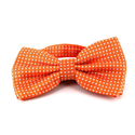 Orange Fliege mit weißen Punkten