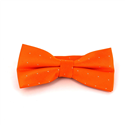 Orange Fliege mit glänzenden Punkten
