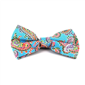 Himmelblaue Paisley Fliege