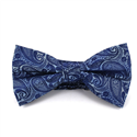 Himmelblaue und blaue Paisley Fliege