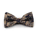 Blau-goldenes Paisley-Fliege