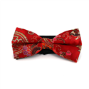 Glanzende rote Paisley-Fliege