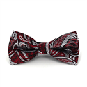 Schwarzes, Granatrot und Silbernes Paisley-Fliege