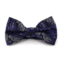 Schwarze und violette Paisley Fliege