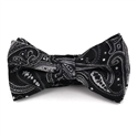 Schwarzes Paisley Fliege in Silber